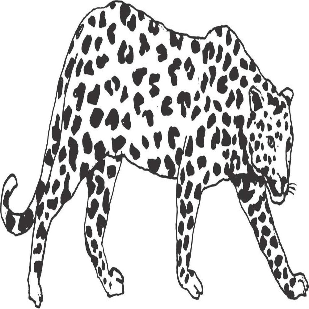 10" x 20" Big Cat Animal Decor Design | Cheetah Cougar Panther Jaguar Leopard Vinyl Wall Art Decoration | DIY Stick and Peel Animal Bedroom Living Room Adhesive Decal Sticker