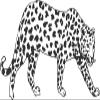 22" x 36" Big Cat Animal Decor Design | Cheetah Cougar Panther Jaguar Leopard Vinyl Wall Art Decoration | DIY Stick and Peel Animal Bedroom Living Room Adhesive Decal Sticker view 1