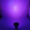 JSVSAL MR16 GU5.3 LED Bulb,Purple, 5W 12V,Not Dimmable,6-Pack view 4