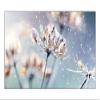 Samsung VMR-U Series 46" Display, VM46R-U view 1