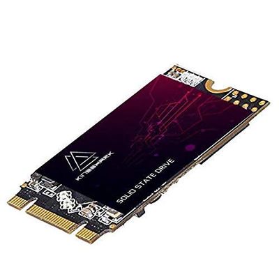 Kingshark M.2 2242 SSD 256GB Ngff Internal Solid State Drive High-Performance Hard Drive for Desktop Laptop SATA III 6Gb/s Includes SSD (256GB, M.2 2242)