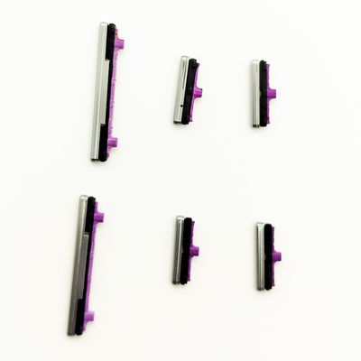 2X Sidekeys Side Buttons Power On Off Volume Up Down Key Mute Replacement for Samsung Galaxy S10/S10 Plus (Silver)