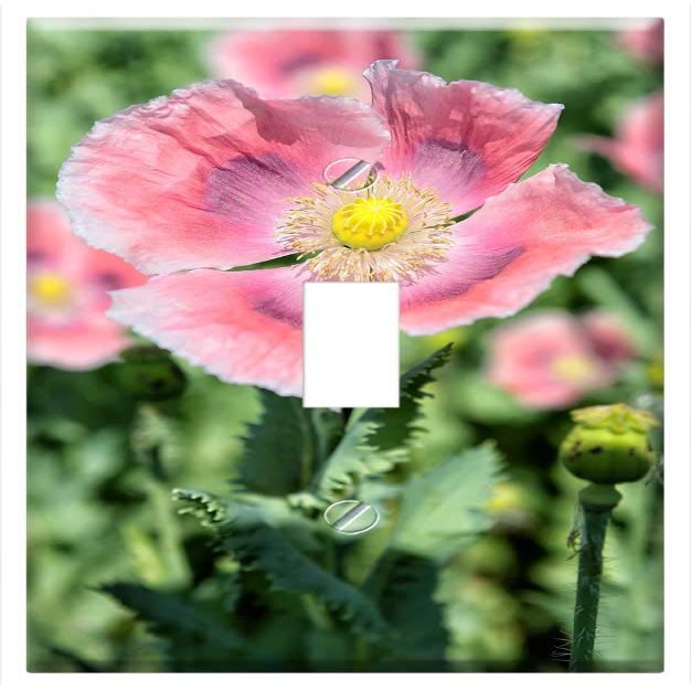 Switch Plate Single Toggle - Poppy Field Field Poppy Corn Poppy Nature Flower