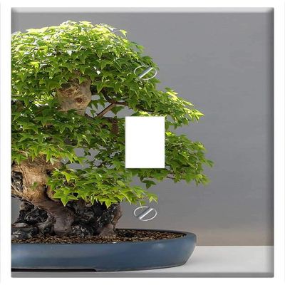 Switch Plate Single Toggle - Bonsai Maple Bonsai Haromer Maple Acer Buergerianum