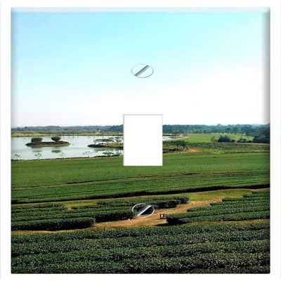 Switch Plate Single Toggle - Rai Boon Rawd Chiang Rai Singha Park Boon Rawd Farm 1