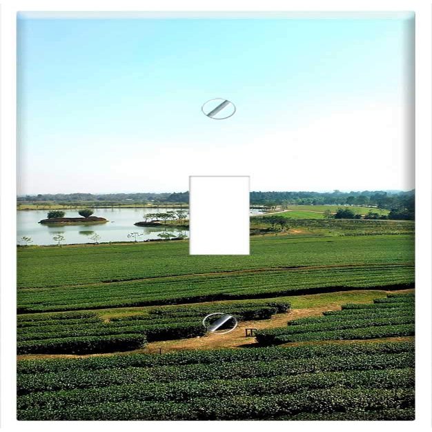 Switch Plate Single Toggle - Rai Boon Rawd Chiang Rai Singha Park Boon Rawd Farm 1