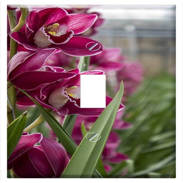 Switch Plate Single Toggle - Orchid Orchids Cash Plants Nature Bloom Flower