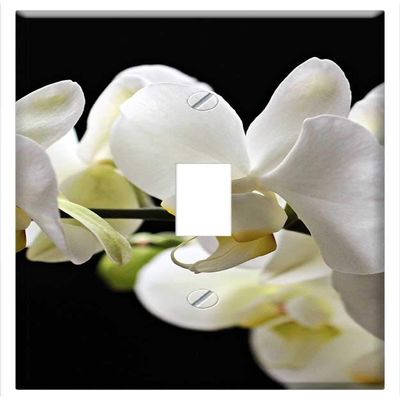 Switch Plate Single Toggle - Orchids Flowers Flower Plant Houseplants