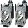 PHO ET-LAD310W ET-LAD310AW (Twin Pack) Genuine Original Replacement Bulb / Lamp with Housing for Panasonic PT-DZ10K Landscape PT-DZ10KU Projector (OEM Panasonic Bulb) view 1