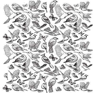 Ceramic Decals - Birds and Butterfly (Black, 19 x 13 inch)