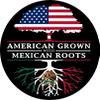 2 pcs American Grown with Mexican Roots, 3 inches | Mexican American Stickers para Carro Mexican Pride Pegatinas Calcomanas Mexico for Laptop, Car Bumper, Water Bottle, Window, Hard Hat view 1