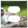 Switch Plate Outlet Cover - Hooded Vulture Vulture Hooded Wildlife Nature Wild view 1