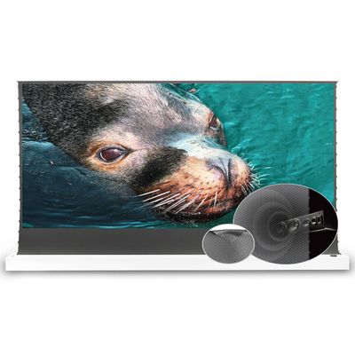 VIVIDSTORM-Long Focus Ambient Light Rejecting Screen,Acoustically Sound Transparent,Motorized Floor-Rising Projection Screen,Compatible with Lumen up to 2500ANSI of Ordinary Projector,VWSDSTPALR72H