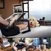 Foldable Laptop Stands, Adjustable Laptop Bed Desk, Portable Laptop Workstation Vented Notebook Stand Laptop Holder with 2 CPU Cooling Fans and Removable Mouse Pad for Bed, Couch Sofa, Office view 2