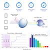 WANXIN Blue Light Blocking Glasses, Anti Eyestrain, TV Glasses for Women Men, Anti UV, Anti Glare view 2
