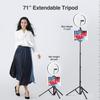 Elitehood 12 Ring Light with Tripod Stand (72 Tall) & iPad/Phone Holder, Dimmable Selfie Circle LED Lights Ringlight for Video Recording, Conference, Makeup, Laptop, Computer, Webcam, YouTube view 3