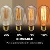 EX ELECTRONIX EXPRESS 4 Pack of ST64 Vintage Edison Light Bulbs with Squirrel Cage Filament - 60W Dimmable Yellow Incandescent Bulbs, 2200K Amber Glow, 110-130 Volts, E26 Medium Base view 3