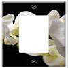 Switch Plate Single Rocker/GFCI - Orchids Flowers Flower Plant Houseplants view 1