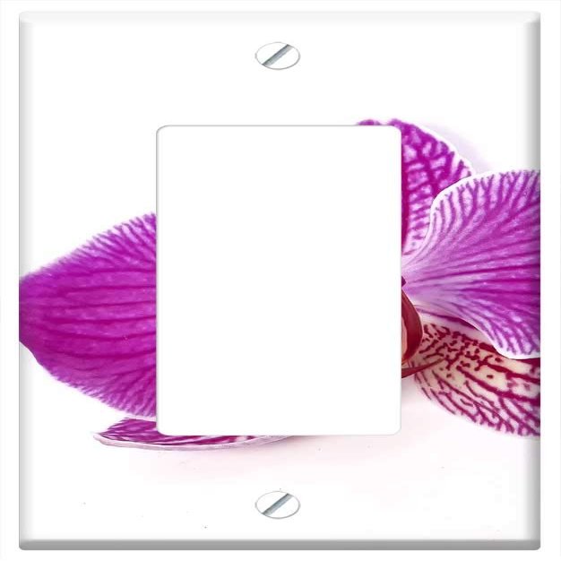 Switch Plate Single Rocker/GFCI - Phalaenopsis Orchid Phalaenopsis Orchid Tropical 3