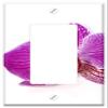 Switch Plate Single Rocker/GFCI - Phalaenopsis Orchid Phalaenopsis Orchid Tropical 3 view 1