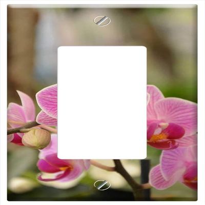 Switch Plate Single Rocker/GFCI - Flowers Orchid Pink Orchid Plant Flower Exotic