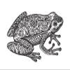 18 Pcs Black and White Tribal Floral Print Frog 2" Stickers Decals Laptop Notebook Phone Waterproof Vinyl Trendy view 2