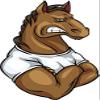 18 Pcs Cool Strong Tough Angry Sport School Mascot Cartoon - Horse Mustang 2" Stickers Decals Laptop Notebook Phone Waterproof Vinyl Trendy view 2