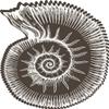 18 Pcs Pretty Pen Sketch Brown Conch Sea Shell Cartoon 2" Stickers Decals Laptop Notebook Phone Waterproof Vinyl Trendy view 2