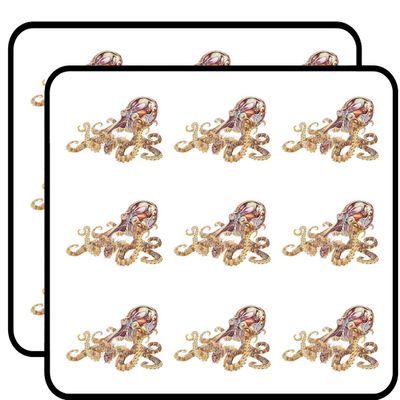 18 Pcs Cool Squid Octopus Anatomy Cartoon Sketch 2" Stickers Decals Laptop Notebook Phone Waterproof Vinyl Trendy