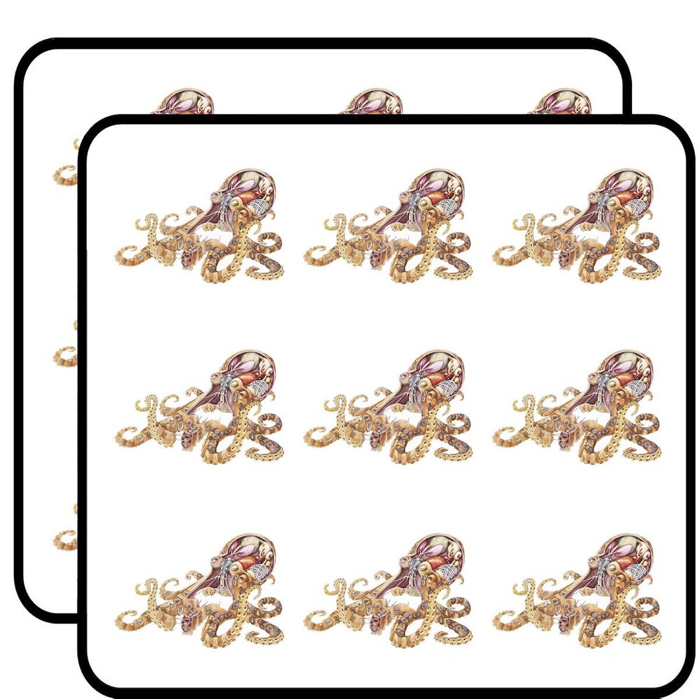 18 Pcs Cool Squid Octopus Anatomy Cartoon Sketch 2" Stickers Decals Laptop Notebook Phone Waterproof Vinyl Trendy