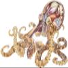 18 Pcs Cool Squid Octopus Anatomy Cartoon Sketch 2" Stickers Decals Laptop Notebook Phone Waterproof Vinyl Trendy view 2