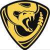 18 Pcs Black and Gold Rattlesnake Icon 2" Stickers Decals Laptop Notebook Phone Waterproof Vinyl Trendy view 2