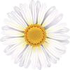 18 Pcs Pretty Classic Flower Cartoon Art 2" Stickers Decals Laptop Notebook Phone Waterproof Vinyl Trendy view 2