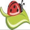 18 Pcs Cute Red Lady Bug on Leaf Cartoon Icon 2" Stickers Decals Laptop Notebook Phone Waterproof Vinyl Trendy view 2
