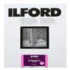 Ilford 1179936 8x10 RC Deluxe 100sh view 1