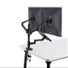 4 arm Height Adjustable Desk Bed Holder Mount Stand for 10 to 17 inch Laptop and Double Monitor(11-27 inc),Compatible with MacBook,Ipad Pro Ipad Air,iPad mini, Tablets 9 to 13 inch (Black) view 2