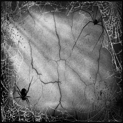 CSFOTO 12x8ft Spider Web Cracked Cement Wall Backdrop Grunge Wall Rough Shabby Rustic Discarded House Horror Halloween Night Photography Backdrop Kids Adults Photo