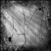 CSFOTO 12x8ft Spider Web Cracked Cement Wall Backdrop Grunge Wall Rough Shabby Rustic Discarded House Horror Halloween Night Photography Backdrop Kids Adults Photo view 1