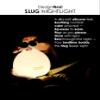 DesignNest Slug Night Light, LED Soft Silicone Touch Control Lamp, Dimmable, Auto Off Timer, Rechargeable, Sleep Aid, 80H+ Long, Squishy Night Light Toy, Kids, Toddler, Nursery, Bedroom, Gift view 2