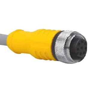 TURCK RKC 8T-6 Cordset, Str M12 Female 8 pos to Cut end, 8x24AWG 6m, PVC Gray, 2A 60VAC/75VDC