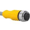 TURCK RKC 8T-6 Cordset, Str M12 Female 8 pos to Cut end, 8x24AWG 6m, PVC Gray, 2A 60VAC/75VDC view 1