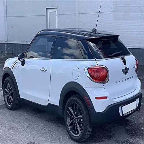 16 Inch Antenna MAST Black for Mini Cooper 2002-2022