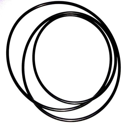 NEW Replacement BELT for TRANSCRIPTOR TRANSCRIBER Turntable Belt