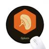 Body Internal Organs Spleen Mouse Pad Desktop Office Round Mat for Computer view 1