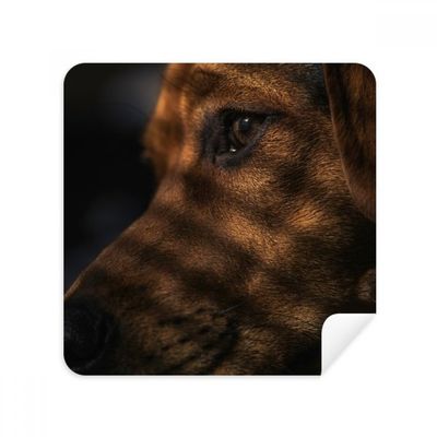 Dog Pet Animal Sentimental Picture Glasses Cloth Screen Cleaner Suede Fabric 2 Pack