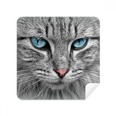 Grey Cat Animal Stare Blue Eyes Glasses Cloth Screen Cleaner Suede Fabric 2 Pack