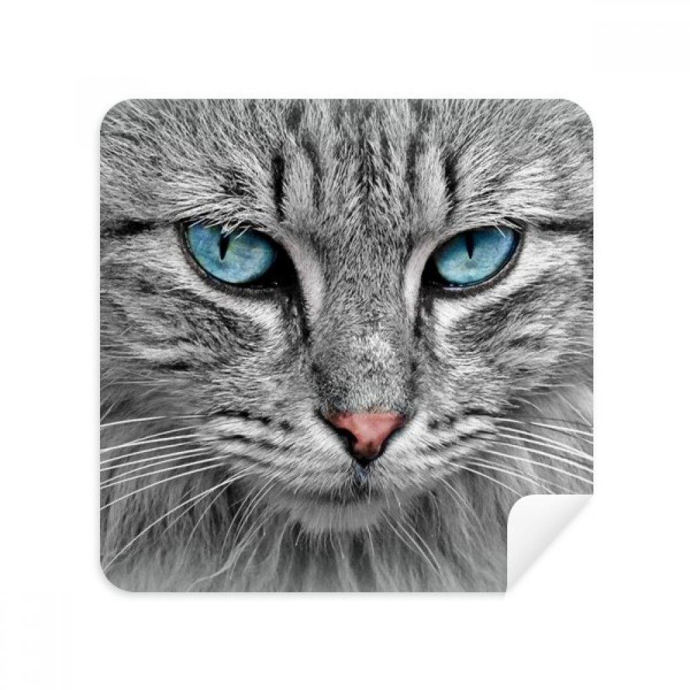 Grey Cat Animal Stare Blue Eyes Glasses Cloth Screen Cleaner Suede Fabric 2 Pack