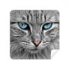 Grey Cat Animal Stare Blue Eyes Glasses Cloth Screen Cleaner Suede Fabric 2 Pack view 1