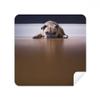 Dog Animal Room Floor Picture Glasses Cloth Screen Cleaner Suede Fabric 2 Pack view 1