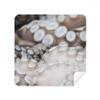 Marine Organism Squid Tentacle Animal Glasses Cloth Screen Cleaner Suede Fabric 2 Pack view 1
